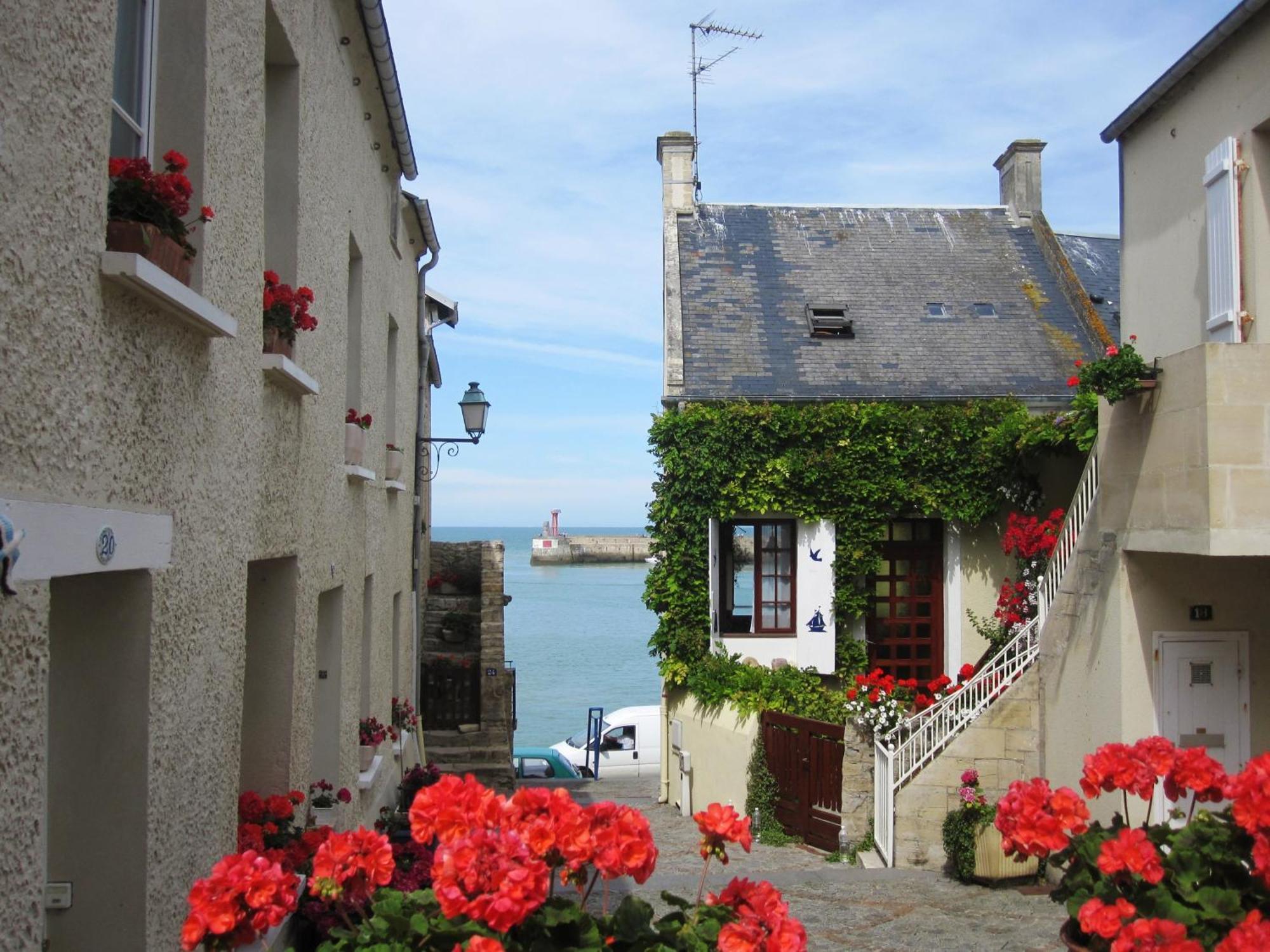 Gite "Au P'Tit Tourois" De Plain-Pied Tout Confort Avec Veranda Proche D'Omaha Beach Et De Bayeux Accueillant Les Animaux Ngoại thất bức ảnh